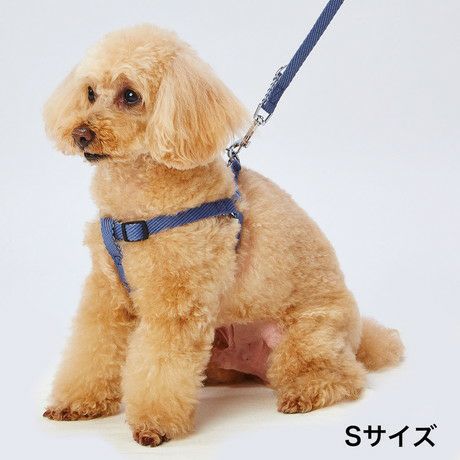Add.Mate アドメイト 犬用胴輪 ソフトスキップハーネス S ブルー