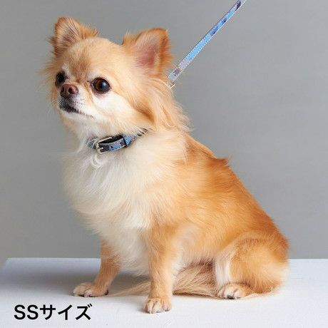 犬用首輪 フラッシュカラー SS 迷彩ブルー | ペティオ オンライン