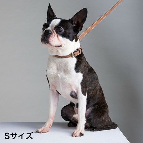 犬用首輪 フラッシュカラー S レザーブラウン | ペティオ オンライン
