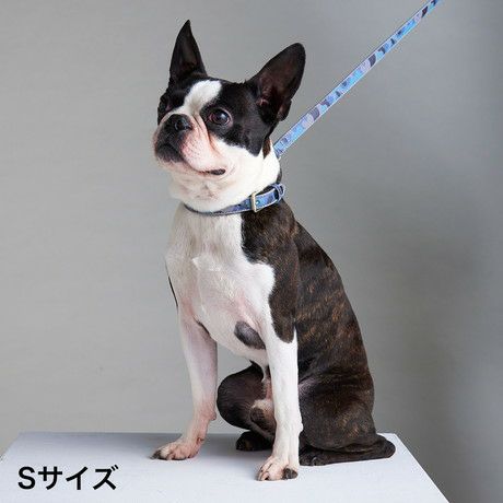 犬用首輪 フラッシュカラー S 迷彩ブルー | ペティオ オンライン