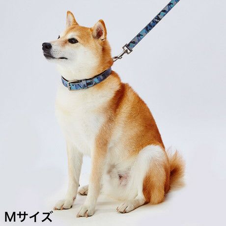 犬用首輪 フラッシュカラー M 迷彩ブルー | ペティオ オンライン