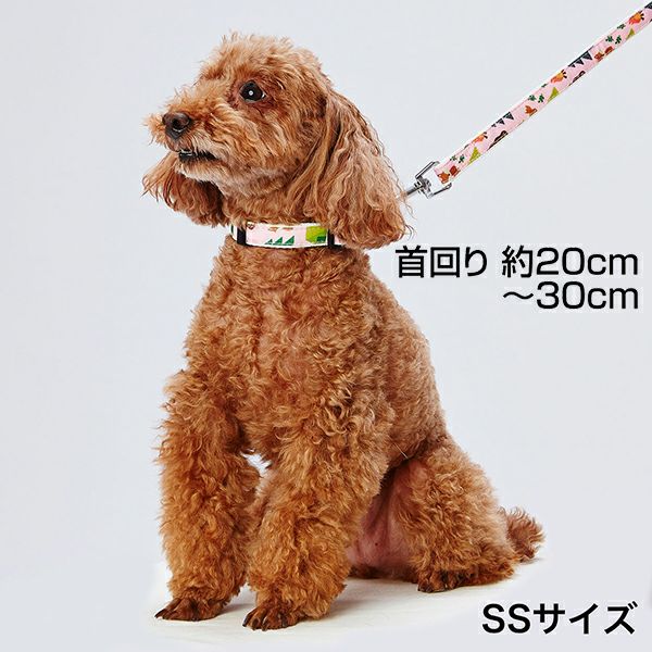 77★for pets only 首輪　カラー for pets only – TIARA PETS