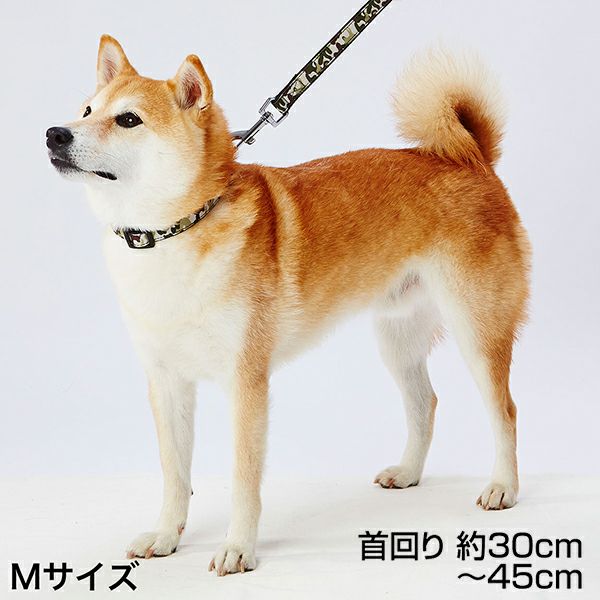 犬用首輪 EthicalDoor エシカルドア 迷彩カラー M ブラック | ペティオ