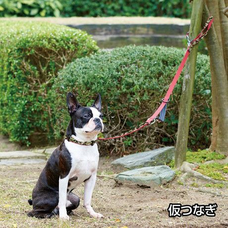 犬用引き紐 EthicalDoor エシカルドア 迷彩ショルダーリード ブラック