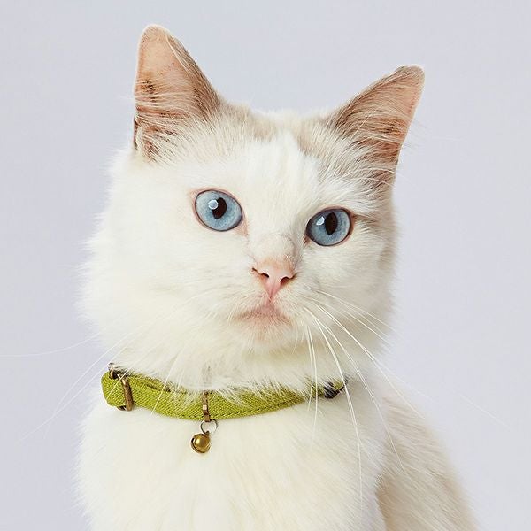 猫用首輪 necoco ネココ キャットカラー グリーン | ペティオ