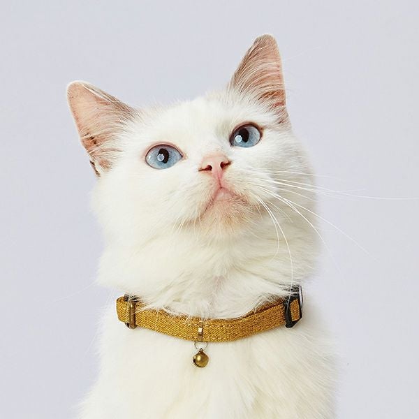 猫用首輪 necoco ネココ キャットカラー イエロー | ペティオ