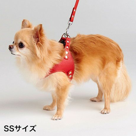 Porta ポルタ ソフトレザーベストハーネス SS レッド | ペティオ
