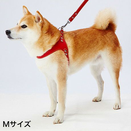 Porta ポルタ ソフトレザーベストハーネス M レッド | ペティオ