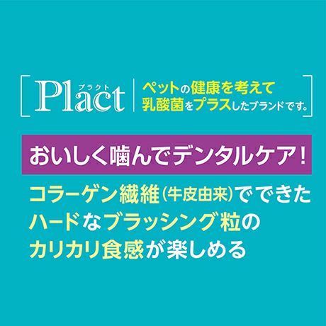 商品イメージ