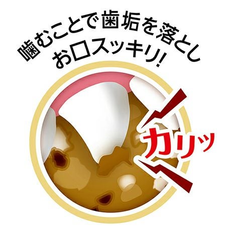 10%OFF！タイムセール】Plact プラクト ねこちゃんの 歯みがき