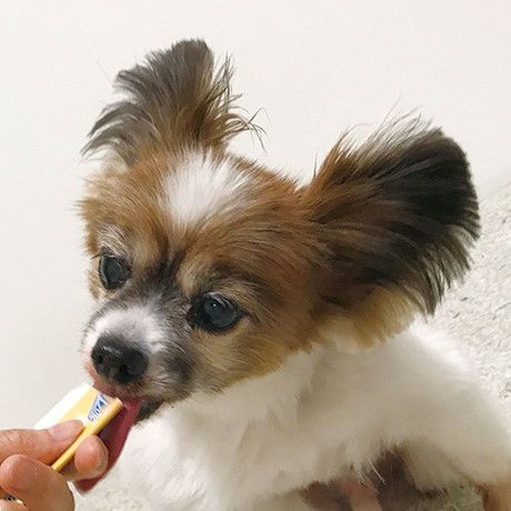 商品イメージ