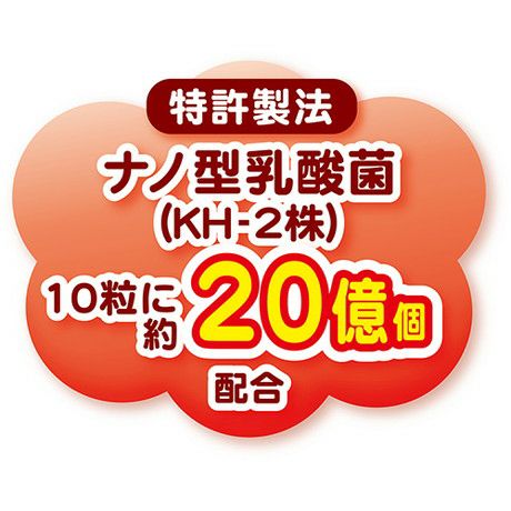 体にうれしい ボーロちゃん 乳酸菌入り 120g | ペティオ オンライン