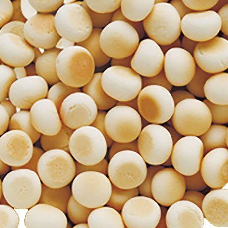 Add.Mate アドメイト 純国産極上たまごボーロ 50g | ペティオ