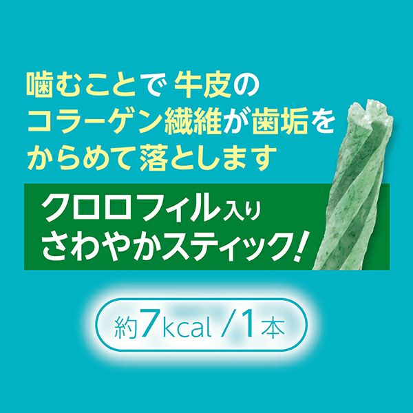 10%OFF！免疫ケア特集】Plact プラクト 歯みがきデンタルガム 超小型