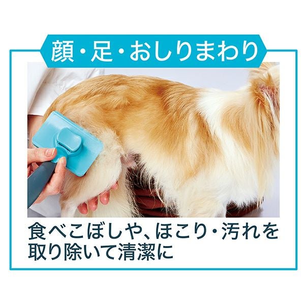 000000005864-09.jpg?size=l&w=