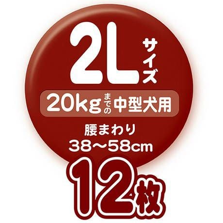 zuttone ずっとね 犬用オムツ 介護から生まれた紙おむつ 2L 12枚 