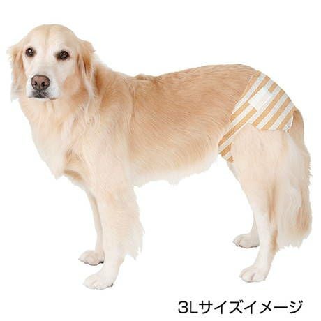 000000005905-05.jpg?size=l&w=