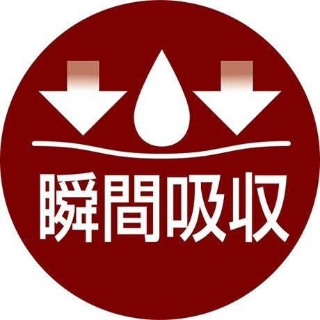 zuttone ずっとね 犬用オムツ 介護から生まれた紙おむつ 4L 8枚