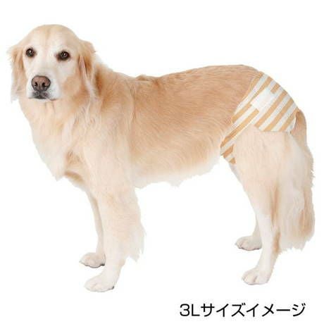 000000005908-06.jpg?size=l&w=