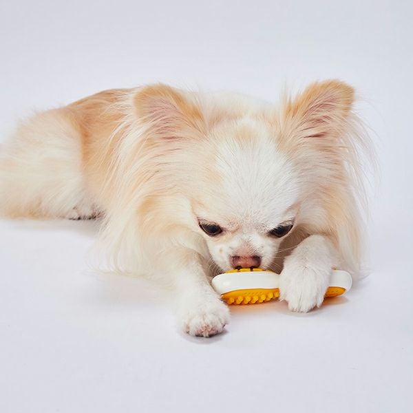 犬用おもちゃ かんでるボーンデンタル Sハード 厚切りベーコン
