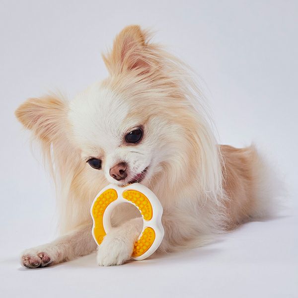 10%OFF！スーパーSALE】犬用おもちゃ かんでるリングデンタル ハード