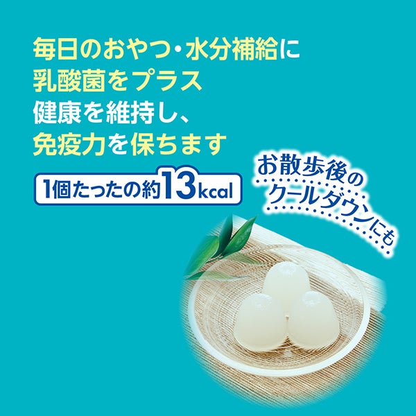 Plact プラクト 砂糖ゼロ ヨーグルト風味ゼリー 16g×15個入 | ペティオ