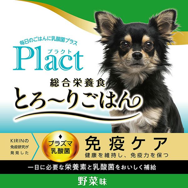 【発色良好】人工餌爆食☆ダトニオプラスワン☆腹巻バンド 14.5㎝±【ジャンビ産】 Plact プラクト 総合栄養食 無添加 とろーりごはん 野菜味 8本入