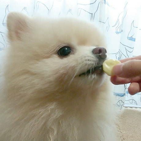 商品イメージ
