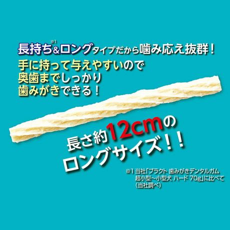 Plact プラクト 長持ちロング歯みがきデンタルガム ストロング 超小型