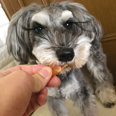本店限定特価】ササミ巻き 素材そのまま 無添加 やわらか鶏なんこつ 12