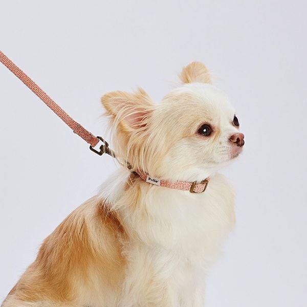 犬用首輪 フラッシュソフトカラー SS ピンク | ペティオ オンライン