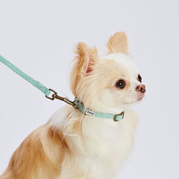 犬用首輪 フラッシュソフトカラー SS ブルー | ペティオ オンライン