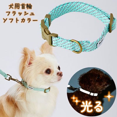 送料無料】犬用 首輪 日本製 ワンタッチ Zenpets クルール 無地 軽い 痛くない くすみカラー シングルリング - 【ペットグッズ専門店  Zenpets ギフトモール店】- プレゼント＆ギフトのギフトモール TANXIC ベルベット犬の首輪とリードセット、明るくスタイリッシュなリーシュと首輪セット、耐久性のあるペット用首輪 頑丈なクイック