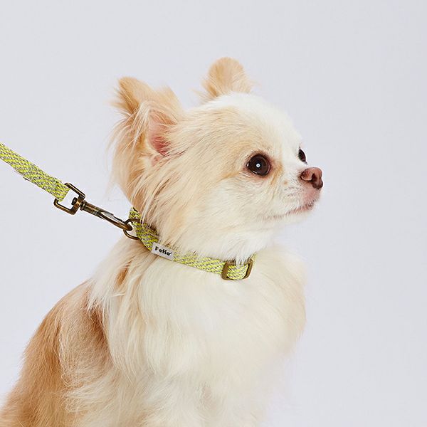 犬用首輪 フラッシュソフトカラー SS イエロー | ペティオ オンライン