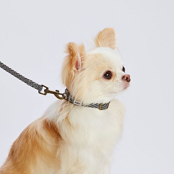 犬用首輪 フラッシュソフトカラー SS ブラック | ペティオ オンライン