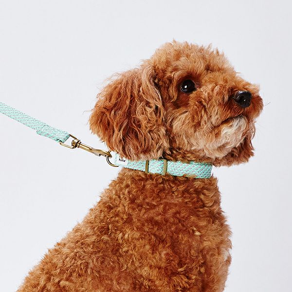 犬用首輪 フラッシュソフトカラー S ブルー | ペティオ オンライン