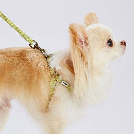 犬用胴輪 フラッシュソフトハーネス SS イエロー | ペティオ