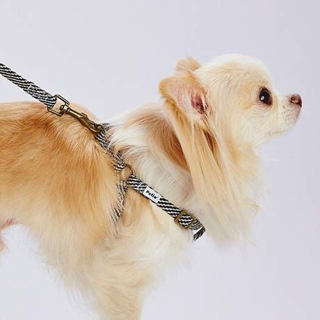 KOBE VP-70M 　複製版リアルハーネス　新品 HARNESS（ハーネス）／ソフト足入れ：Toto & Pal（トトアンドパル