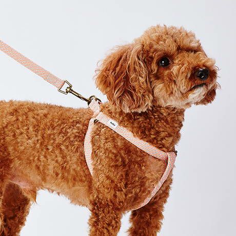 12%OFF！おでかけ特集】犬用胴輪 フラッシュソフトハーネス S ピンク