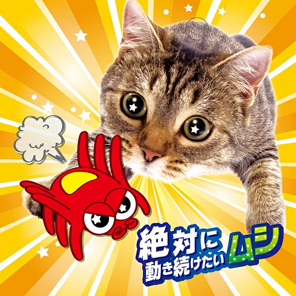 商品イメージ