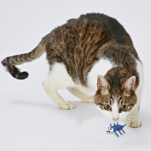 猫用おもちゃ ワイルドマウス ちょろたんブルー | ペティオ オンライン