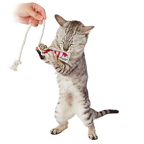 000000006055-04.jpg?size=l&w=
