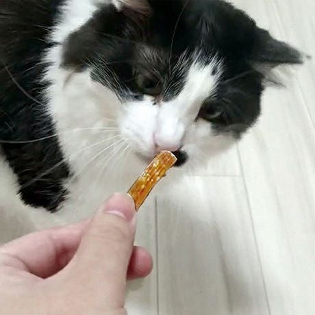 商品イメージ