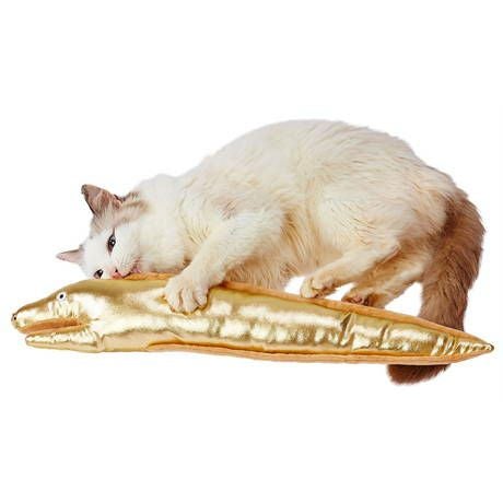 猫あむさん専用 ASMRアーティスト「はとむぎ」コラボの猫ちゃん付きハイレゾレコーダ