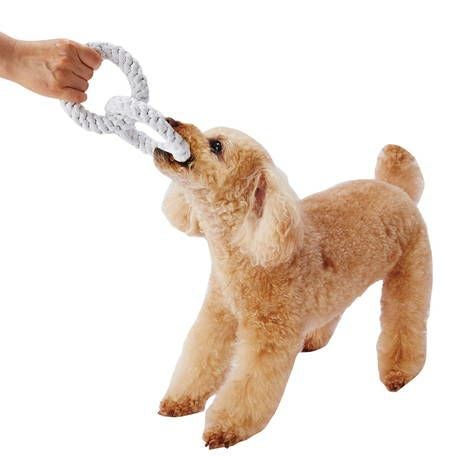 Add.Mate アドメイト 犬用おもちゃ ナチュラルコットン ソフト2連