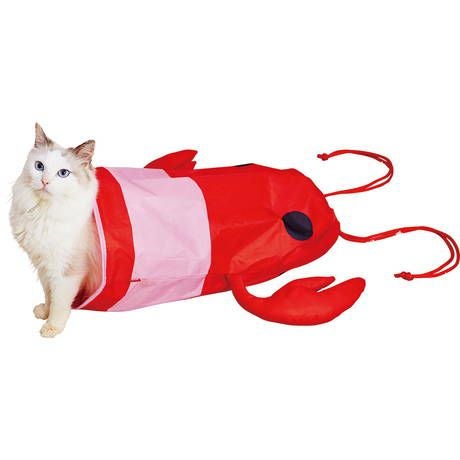 猫用おもちゃ エビのなりきりシャカシャカ通りぬけ袋 | ペティオ