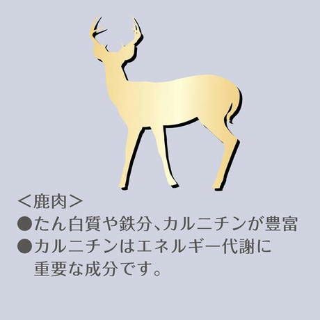 アブ様 専用 鹿の角 天然 5本 机の上のサイエンス。／鹿の