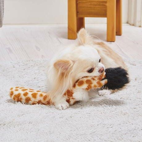50%OFF！タイムセール】Add.Mate アドメイト 犬猫用おもちゃ