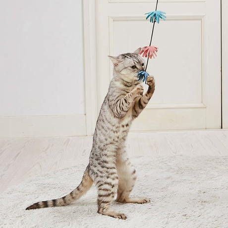 Add.Mate アドメイト 猫用おもちゃ スティックじゃらし ぽんぽん