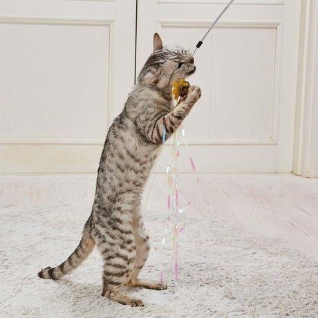 Add.Mate アドメイト 猫用おもちゃ スティックじゃらし オーロラ
